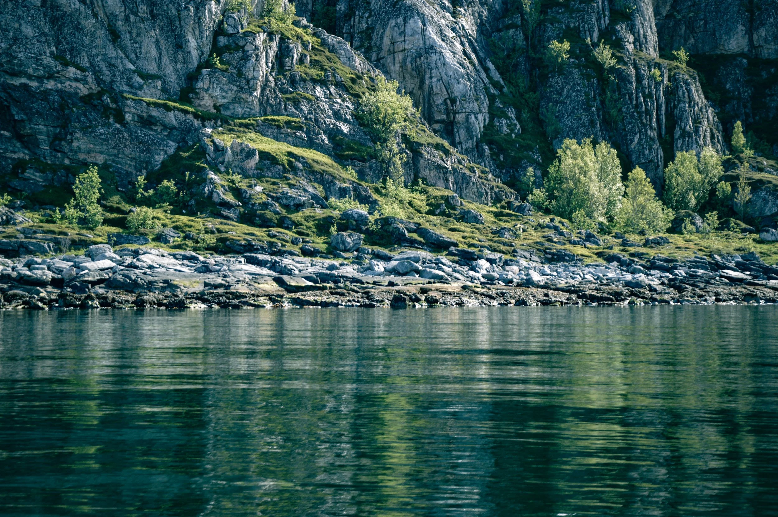 Tones Of Green, Kjerfjorden 