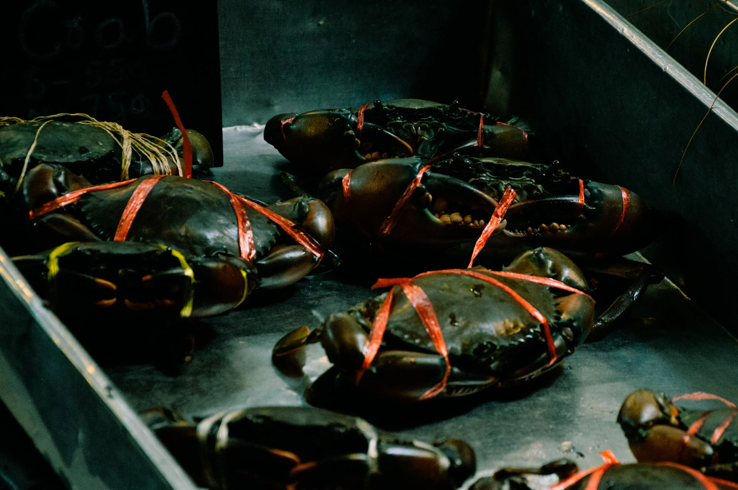 Festive Crabs, Yaowarat Road, Bangkok