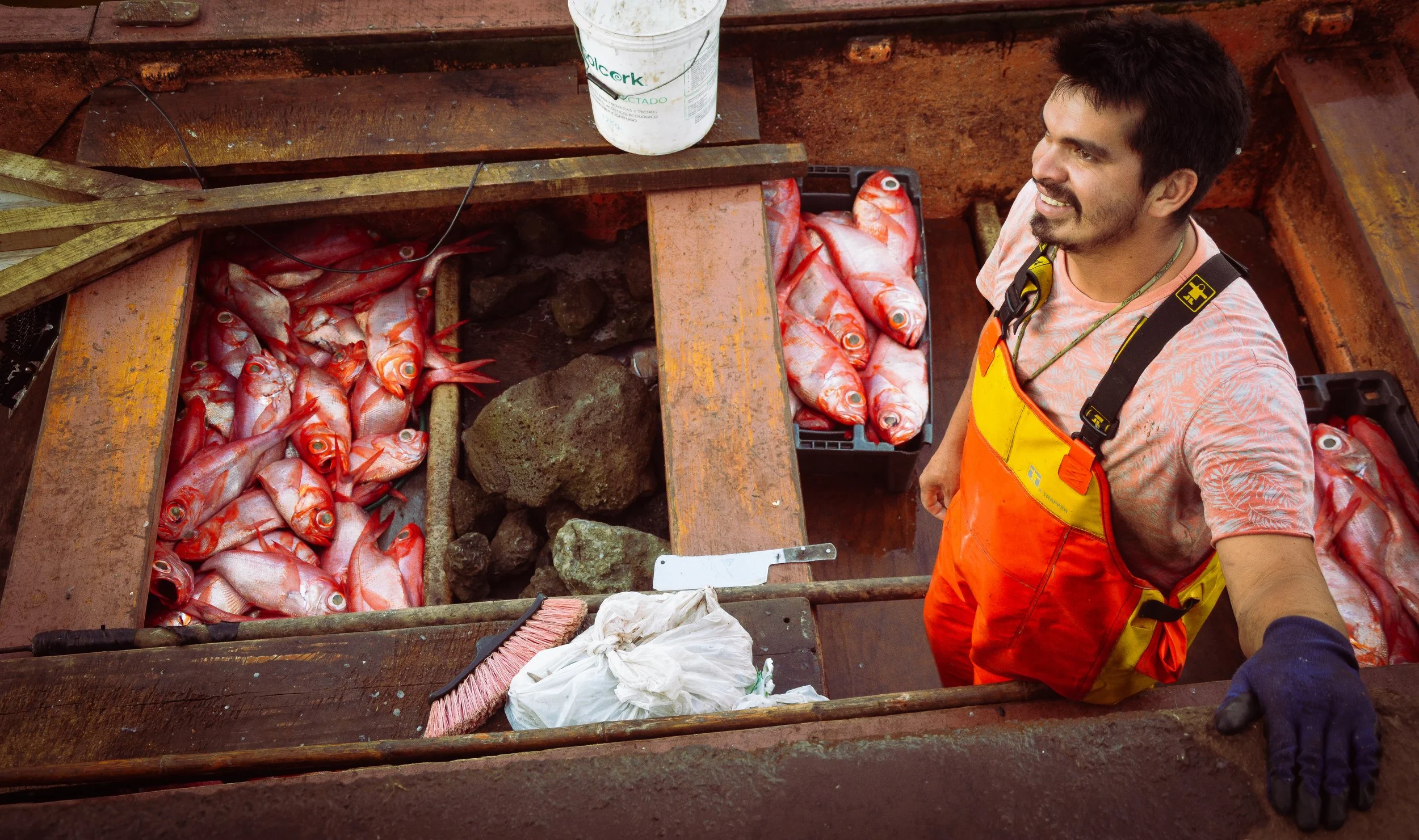 Catch of the Day, Otai