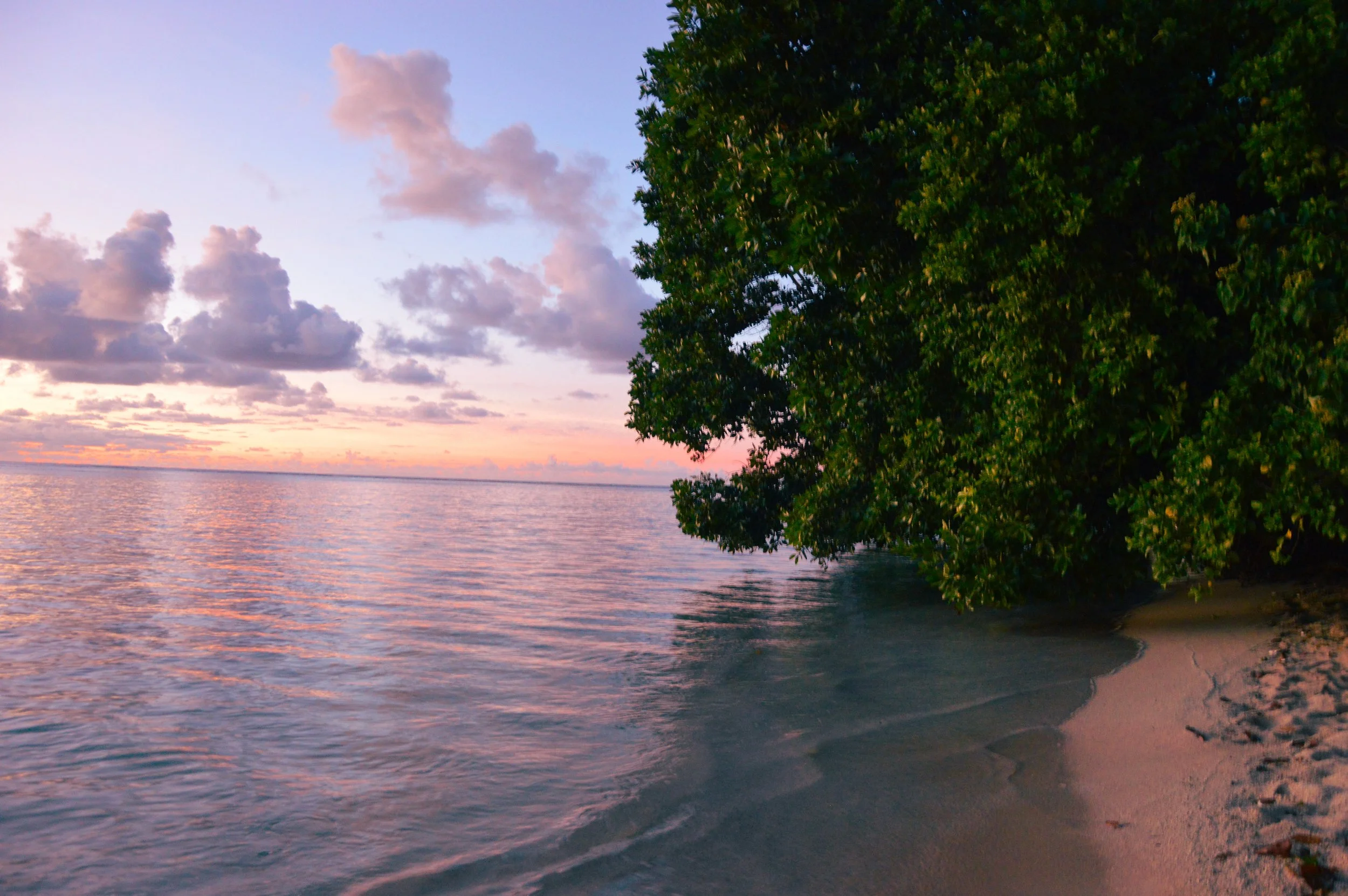 Delight, Clem's Place Tunnung