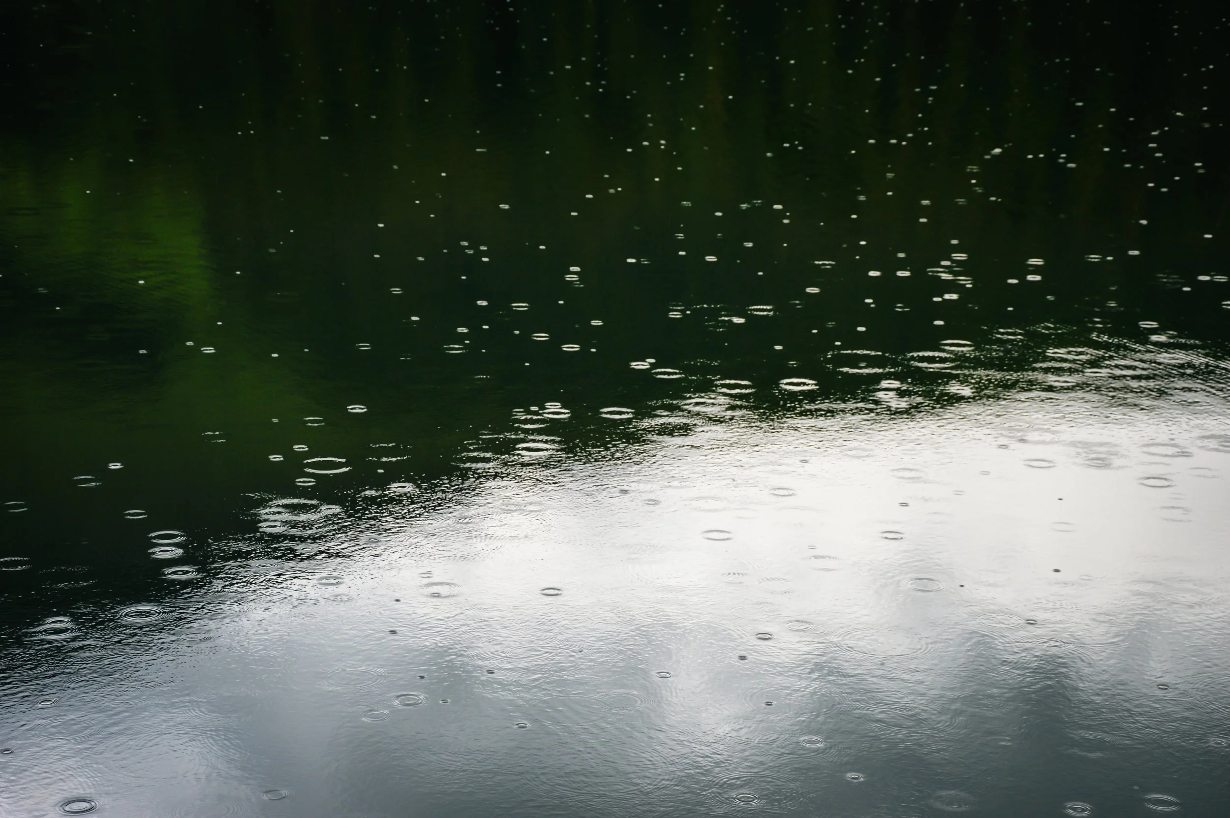 The Light On The Lake, Nordfjord