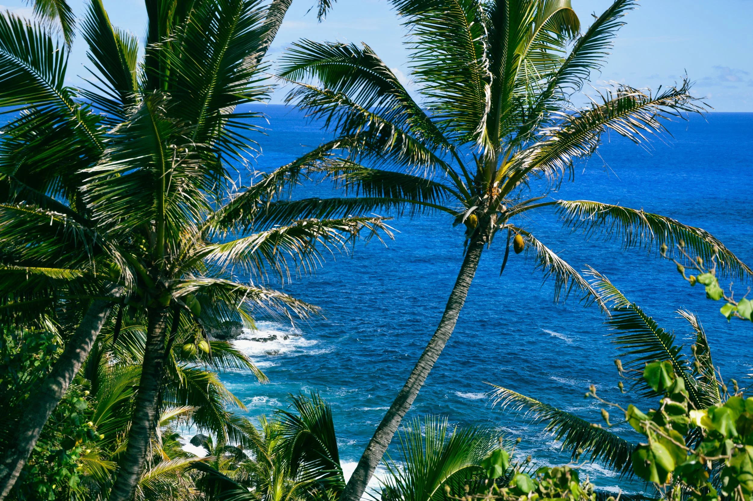 Pool Path, Down Alwyn's 