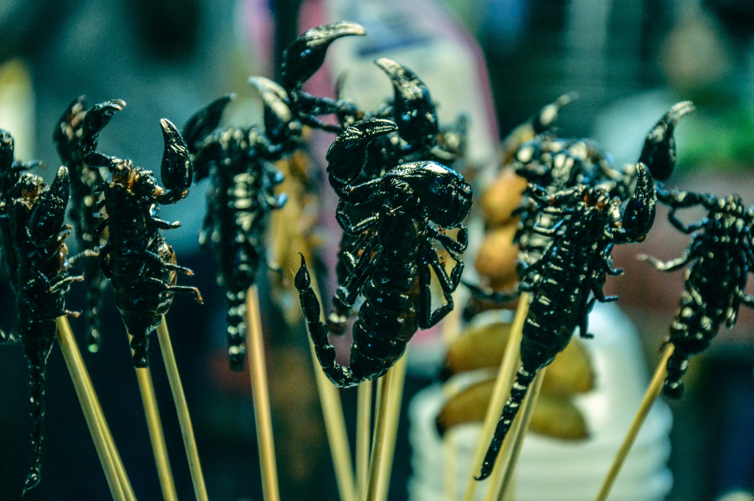 Poison On A Stick, Yaowarat Road, Bangkok