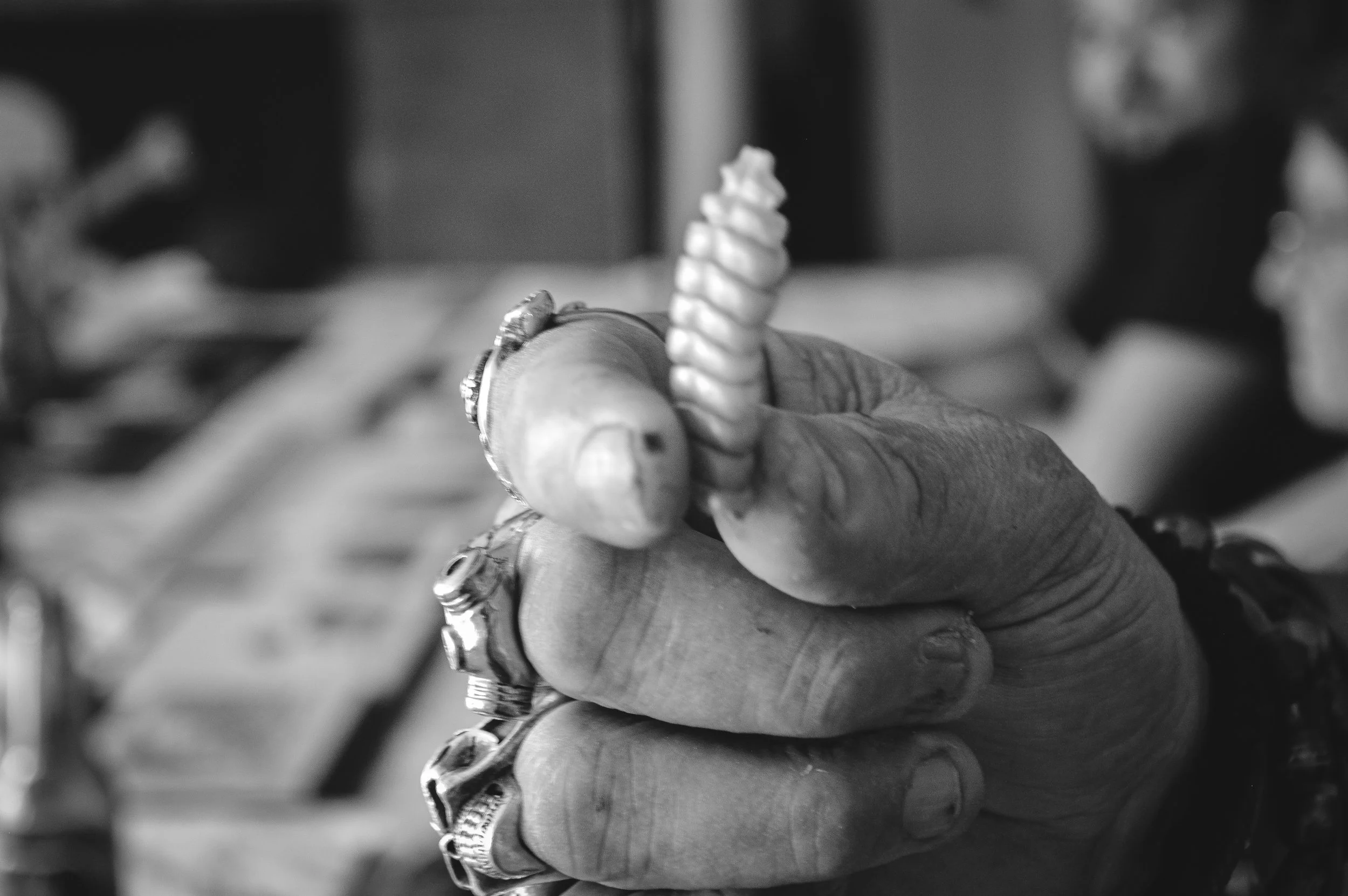 Pawl Warren's Rattle Snake Tail, Whale's Tooth Bar