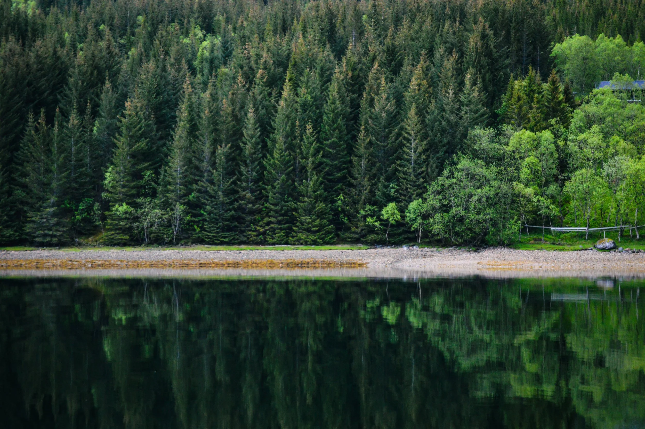 Reflections, Nordfjord