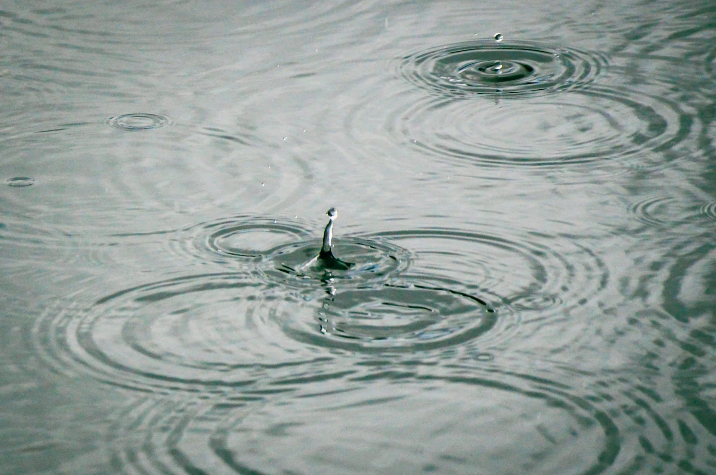 Rain Dance, Nordfjord 