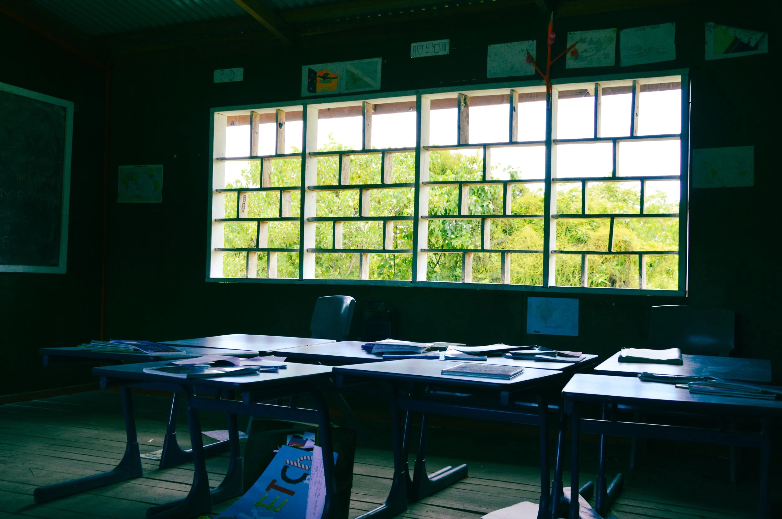 New School, Dunung Island