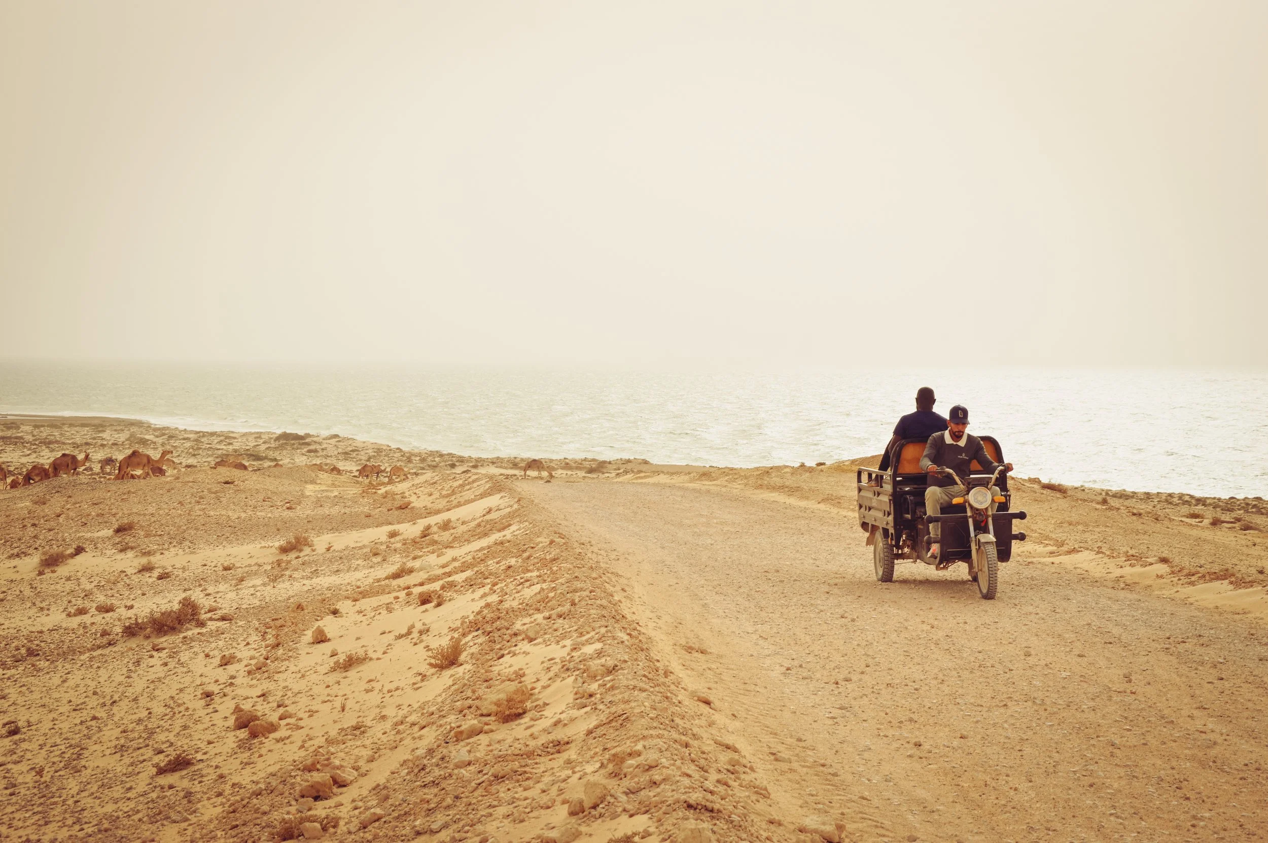 Desert Ride, Dakhla