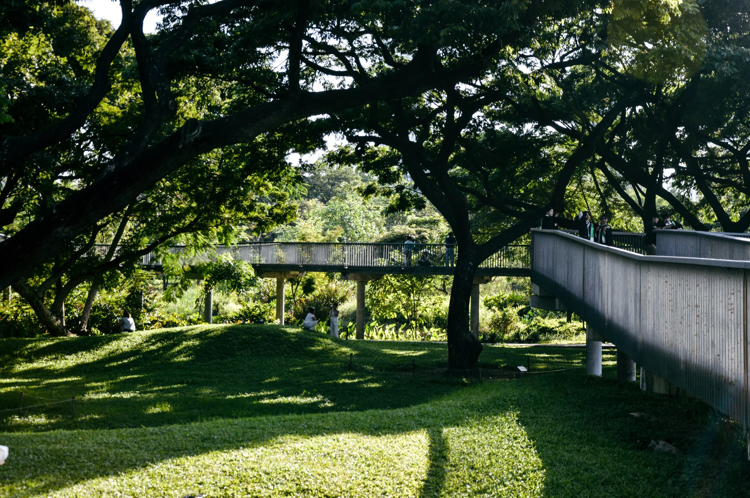 Treeline, Benjakitti Park, Bangkok