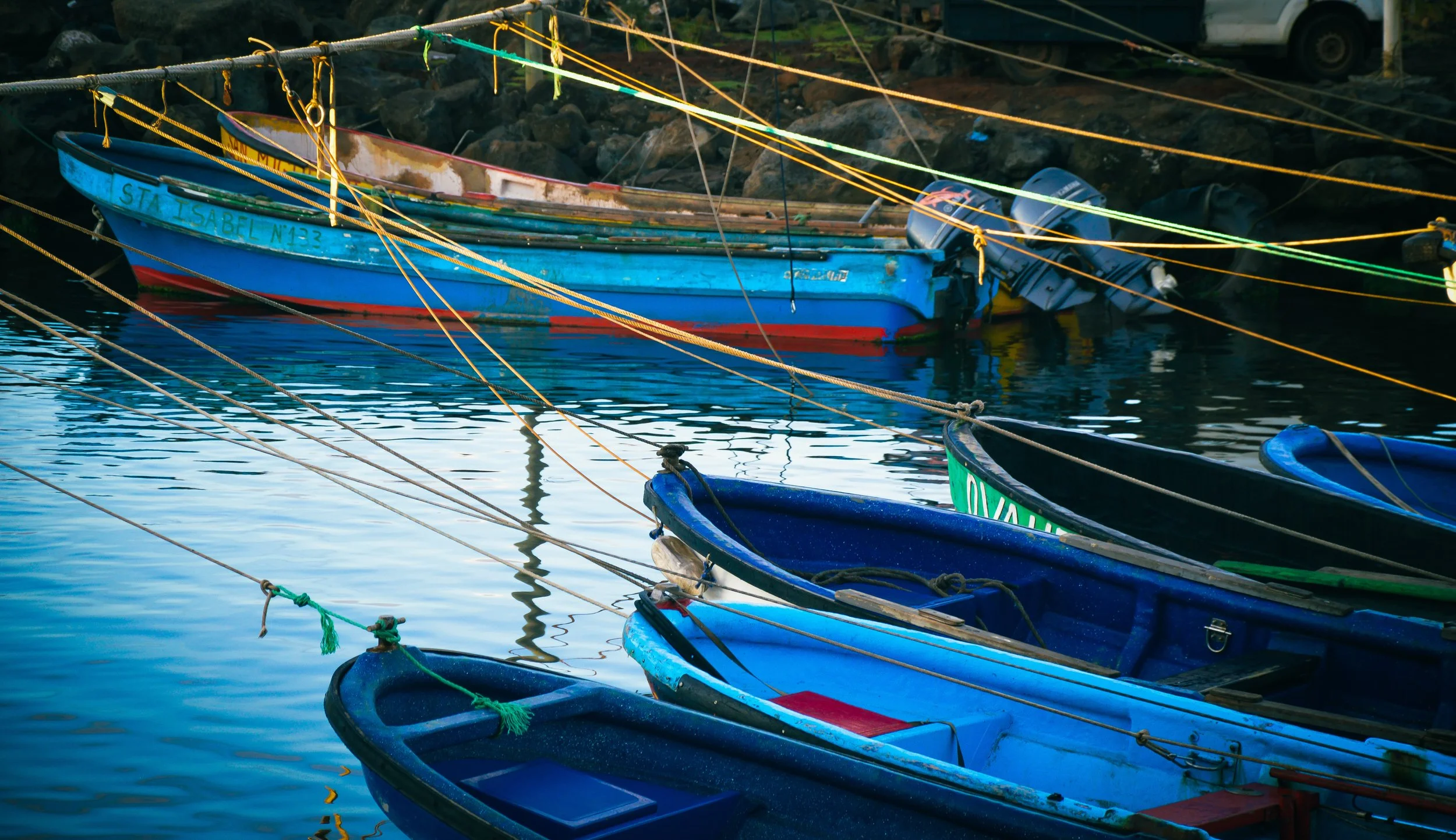 Blue Boats, Otai Harbour