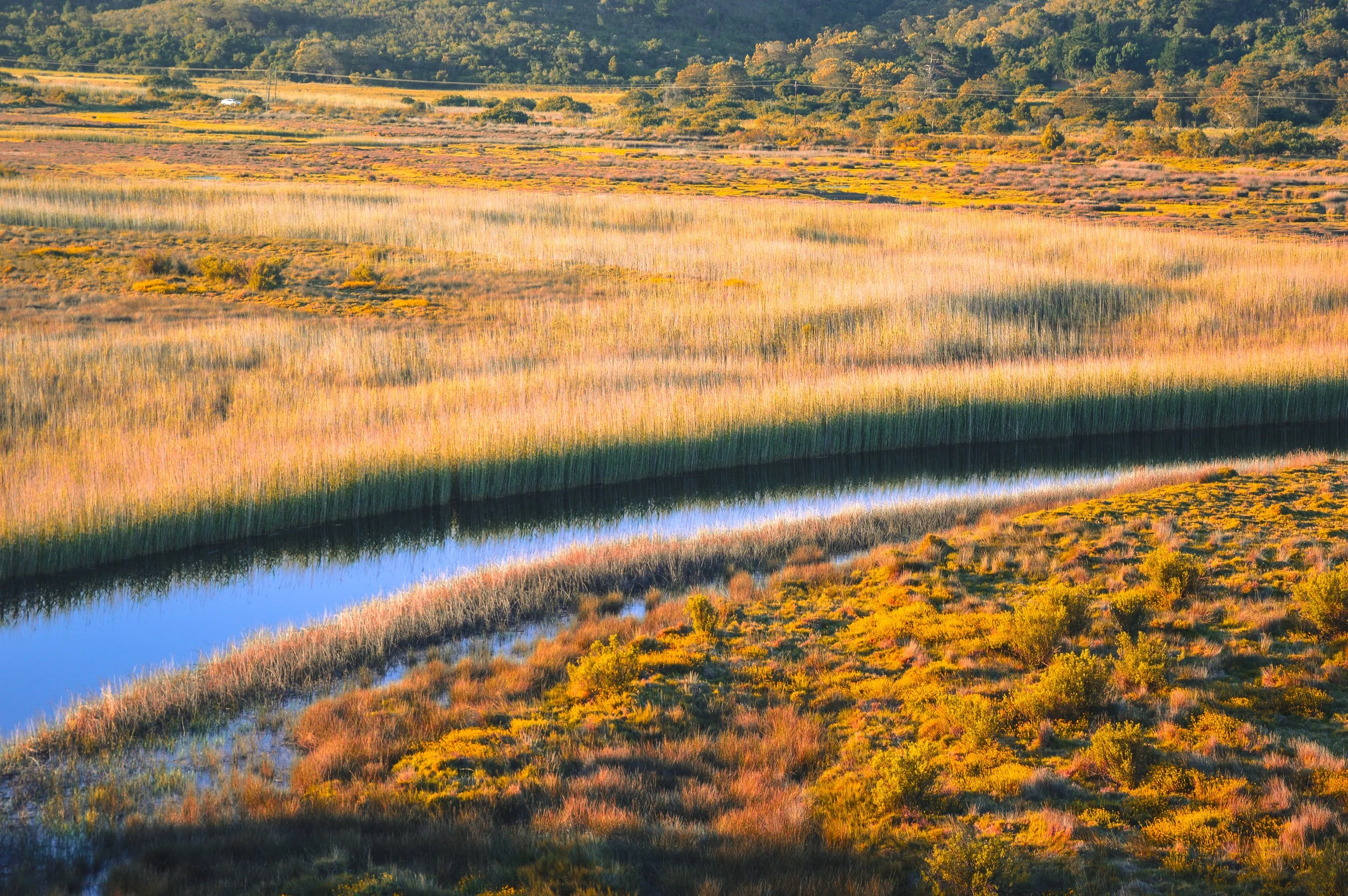 Sunset on the River, Emily moon