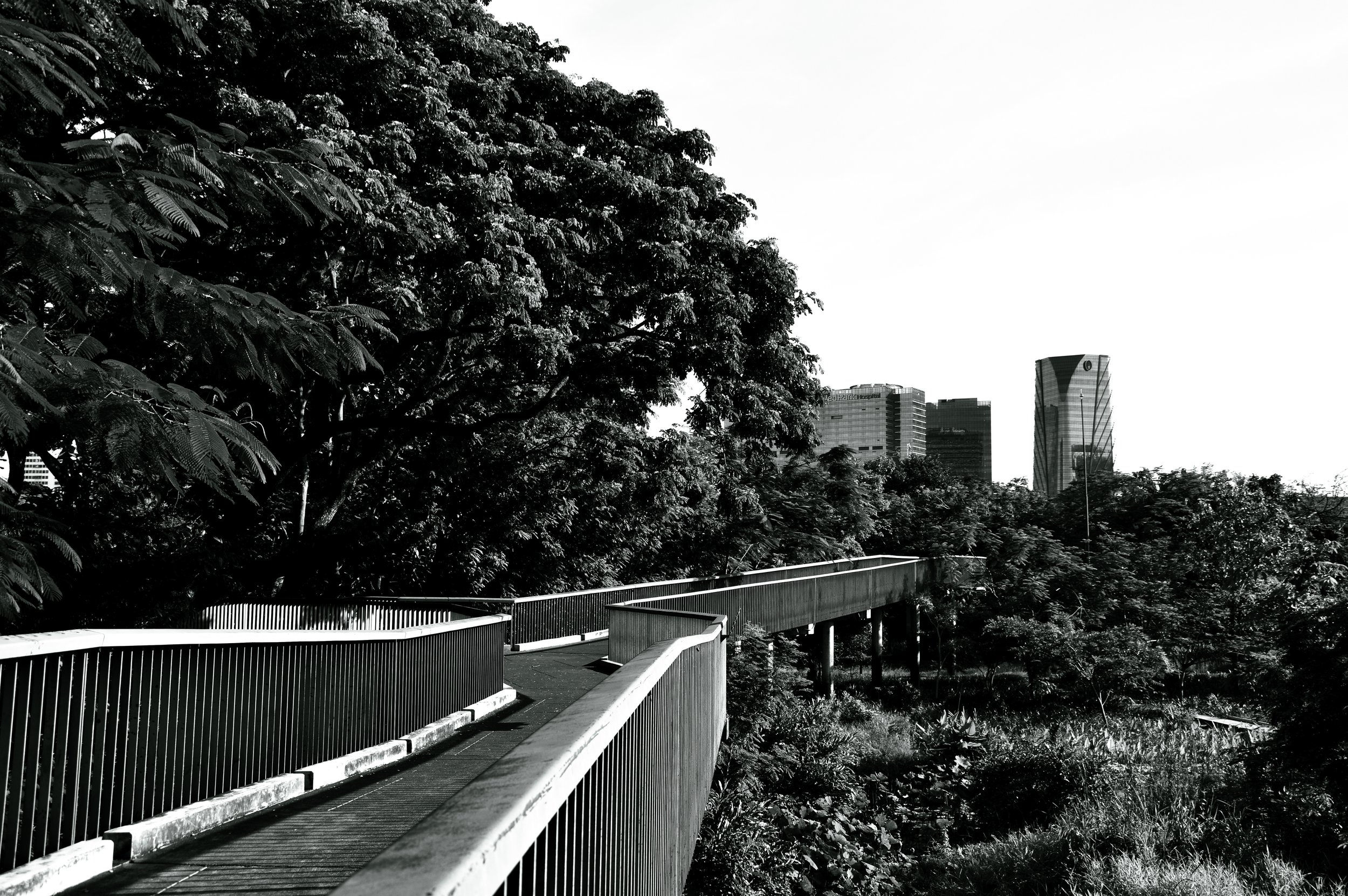 Sky Walk, Benjakitti Park, Bangkok