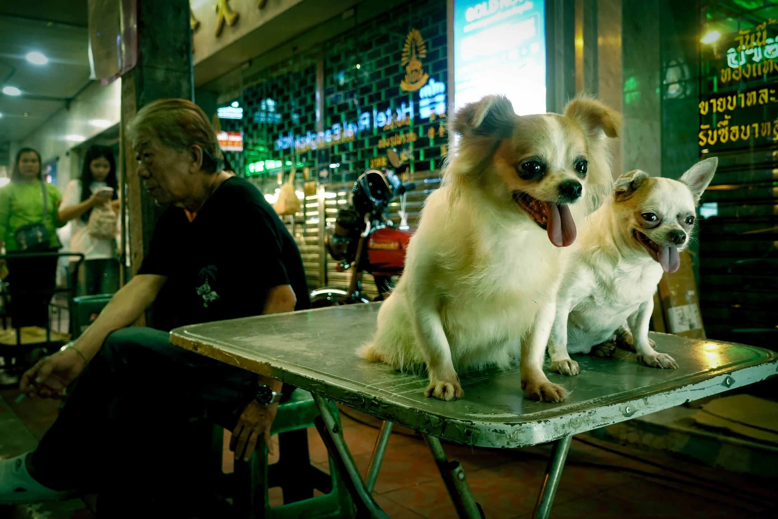 Hungry Chihuahua, Yaowarat Road, Bangkok