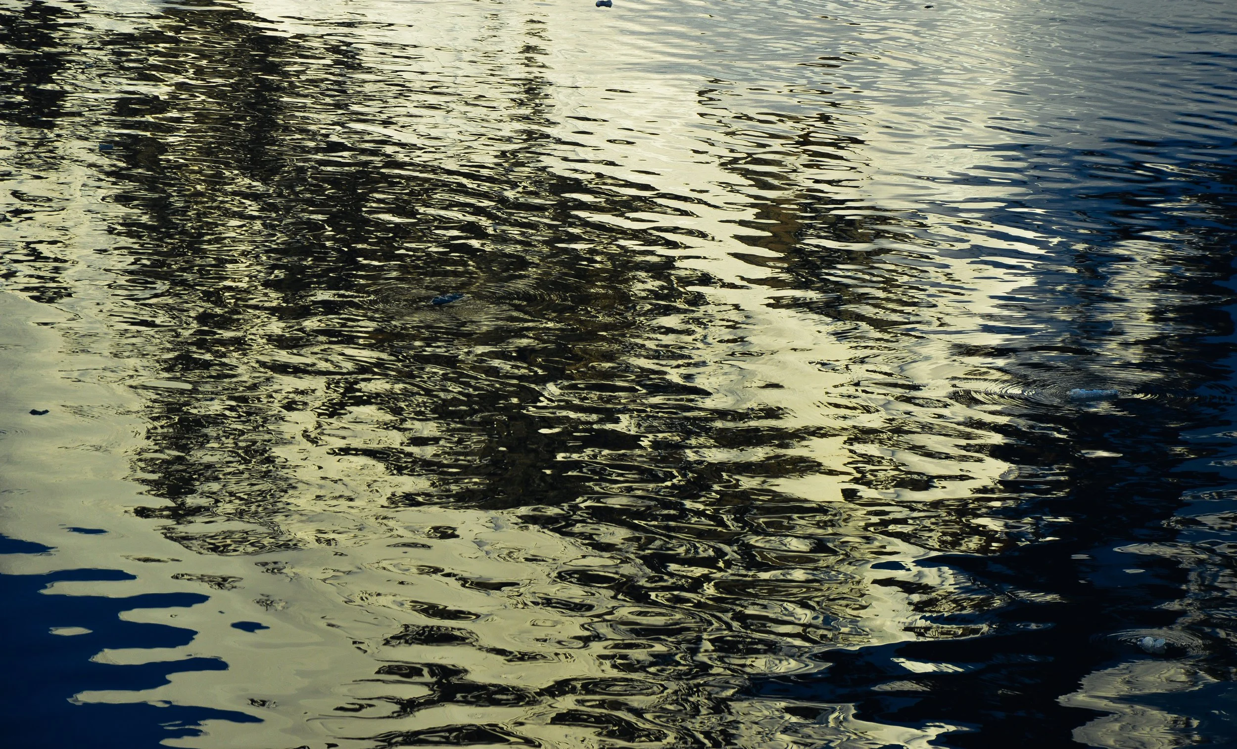 Reflections, Danco Island