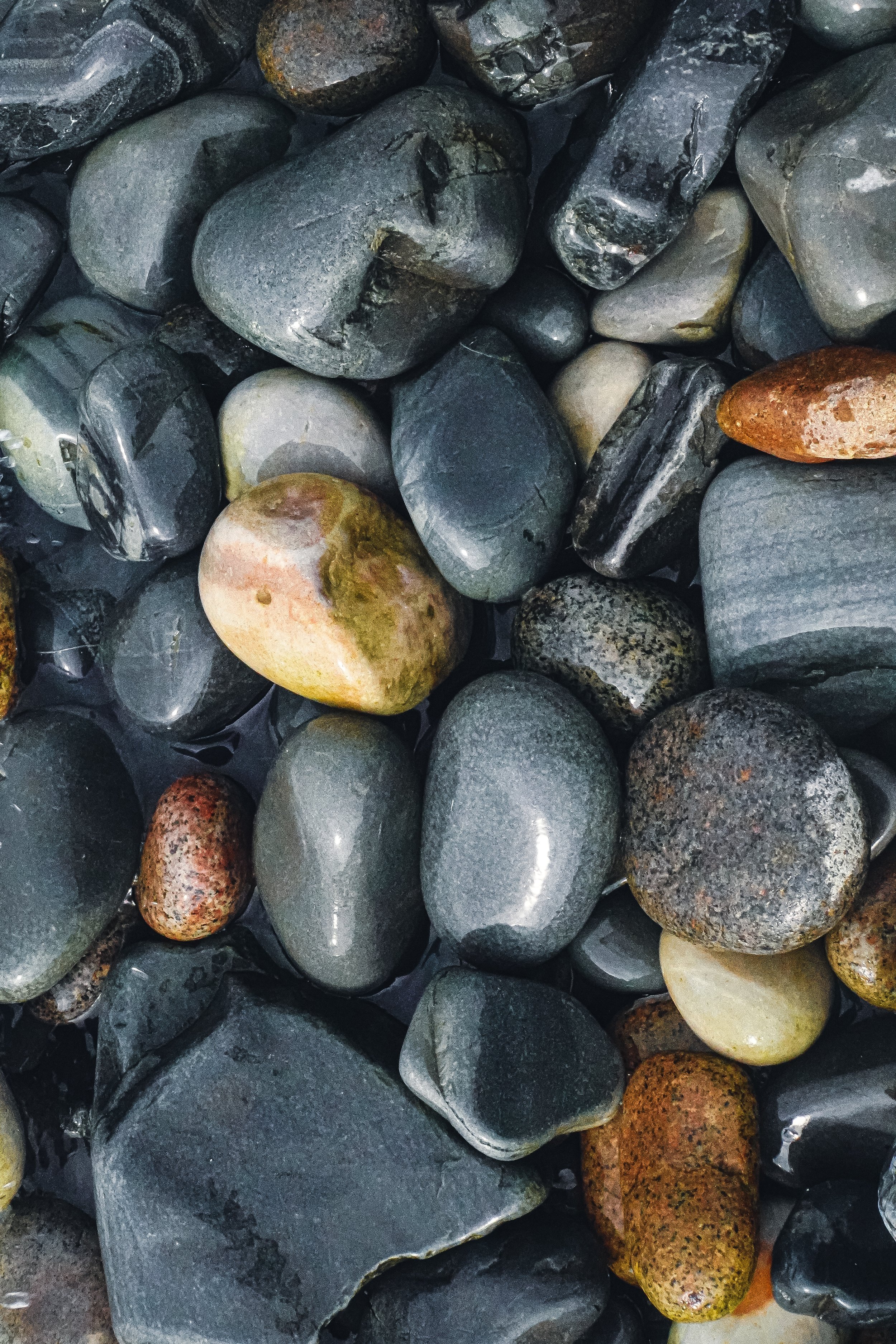 Arctic Erosion, Honningsvåg