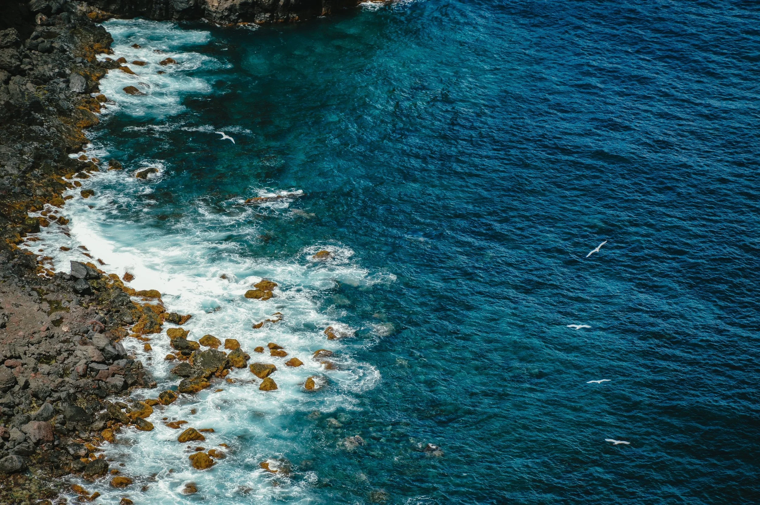 Downrope Viewpoint, South East Island