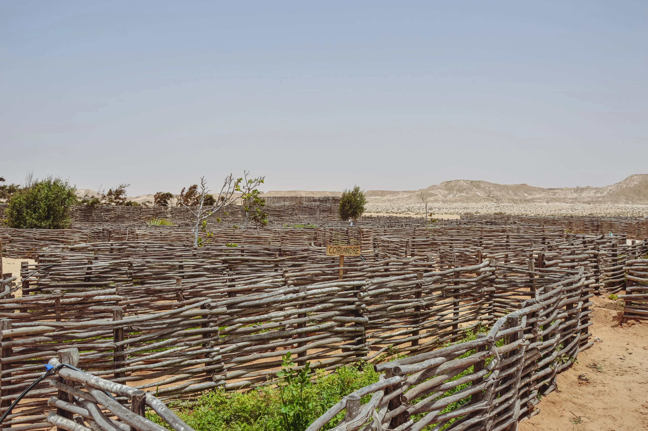 Desert Farm, La Tour d'Eole 