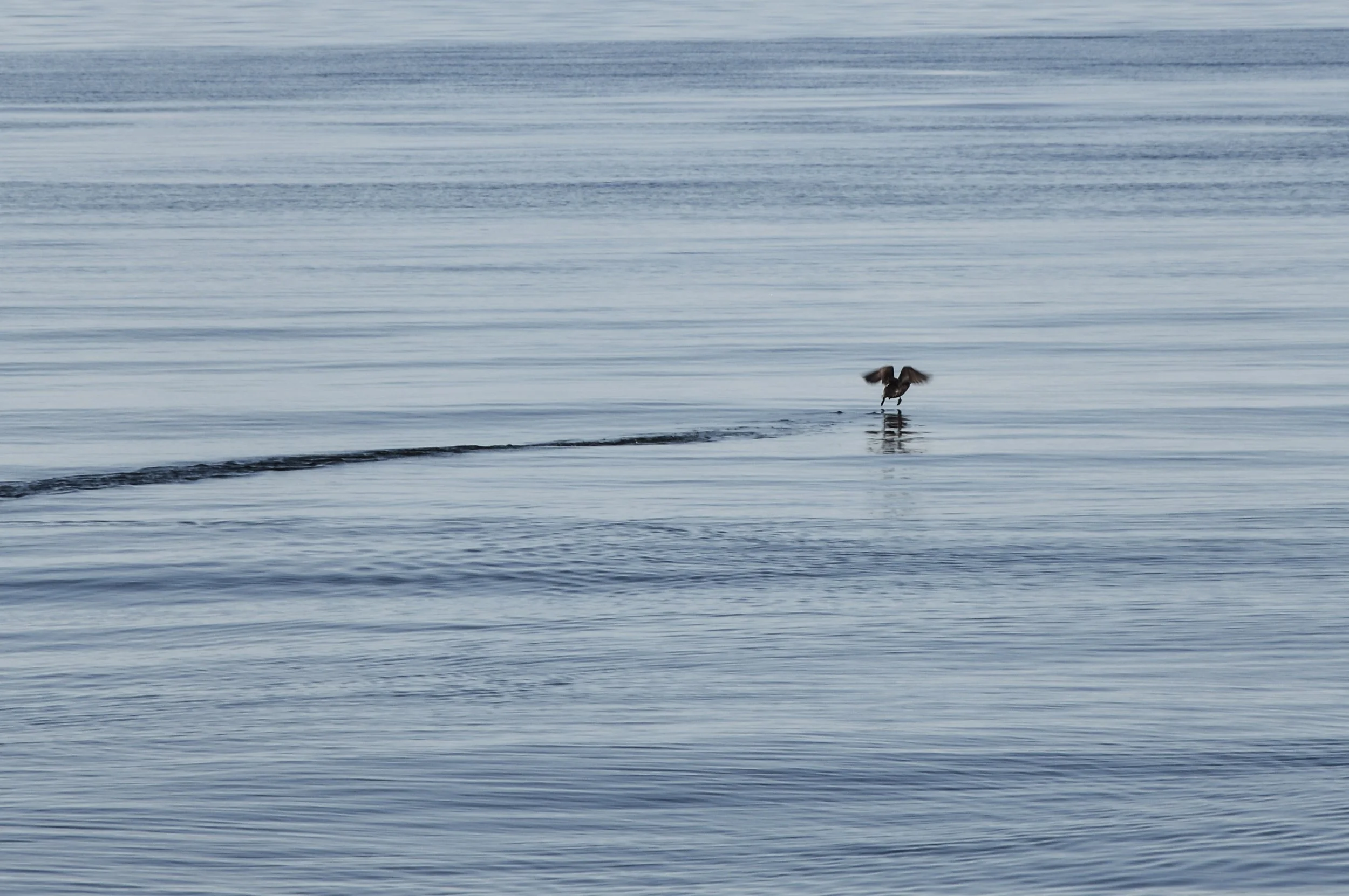 Gliding, Kjerkfjorden