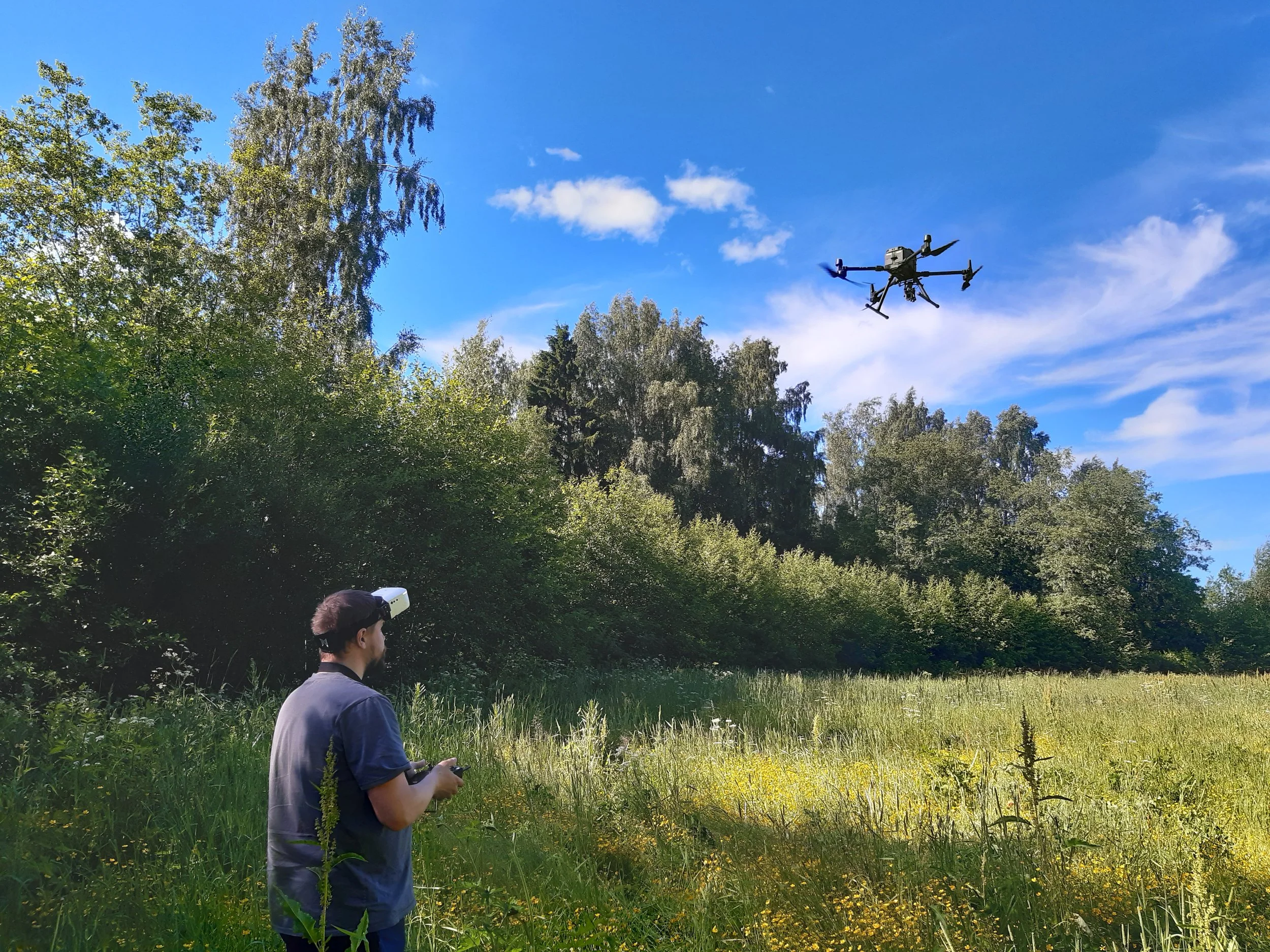 Drones and AI could help track invasive plants