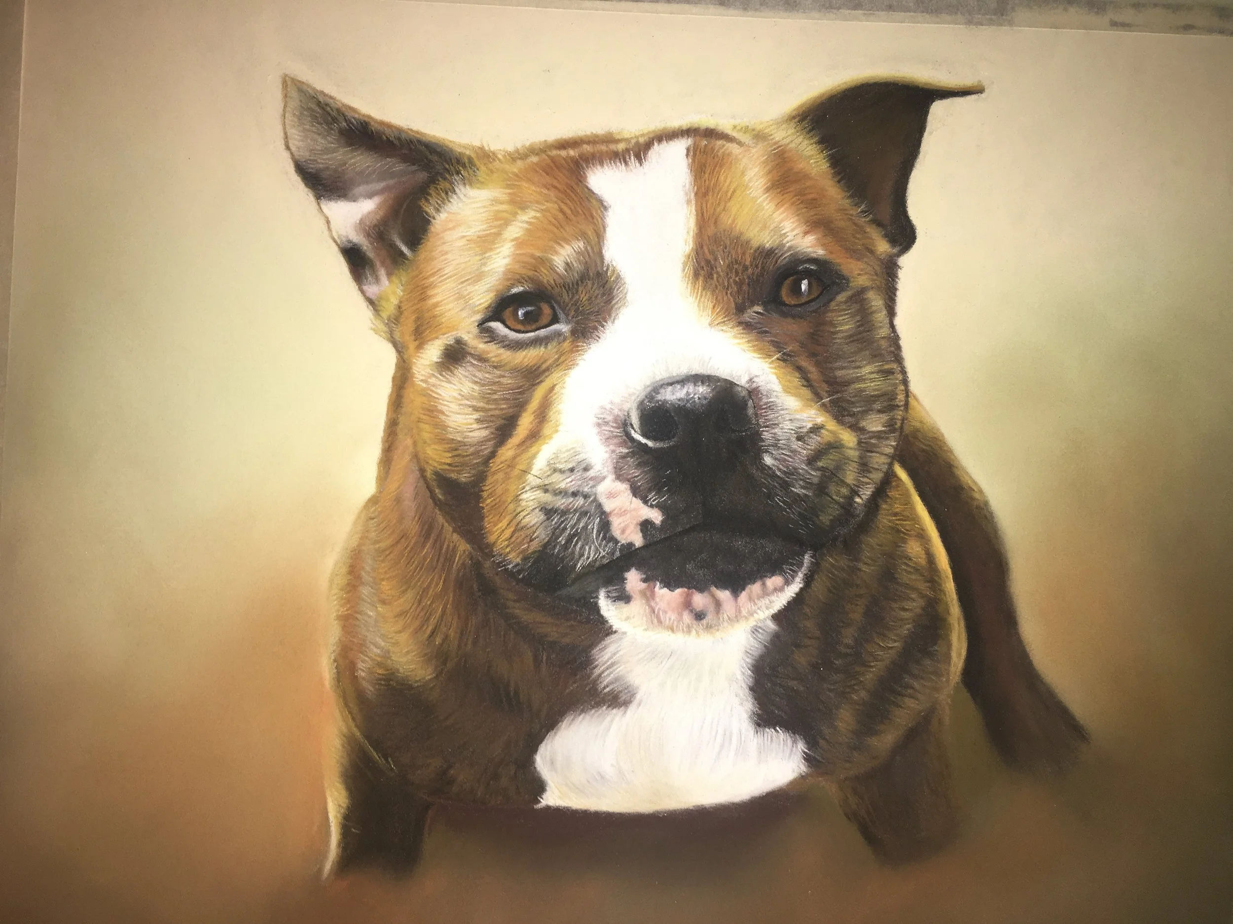 Painting of a brown and white dog with a black nose and expressive eyes, looking directly at the viewer, on a plain background.