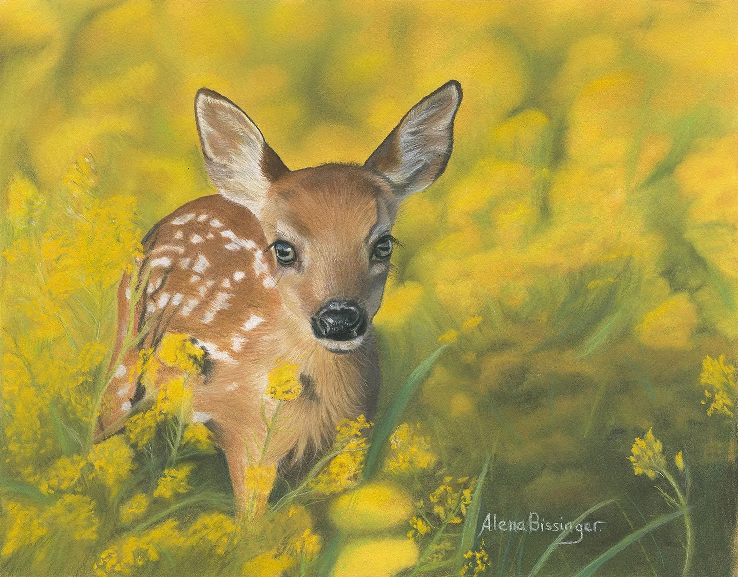 fawn.jpg