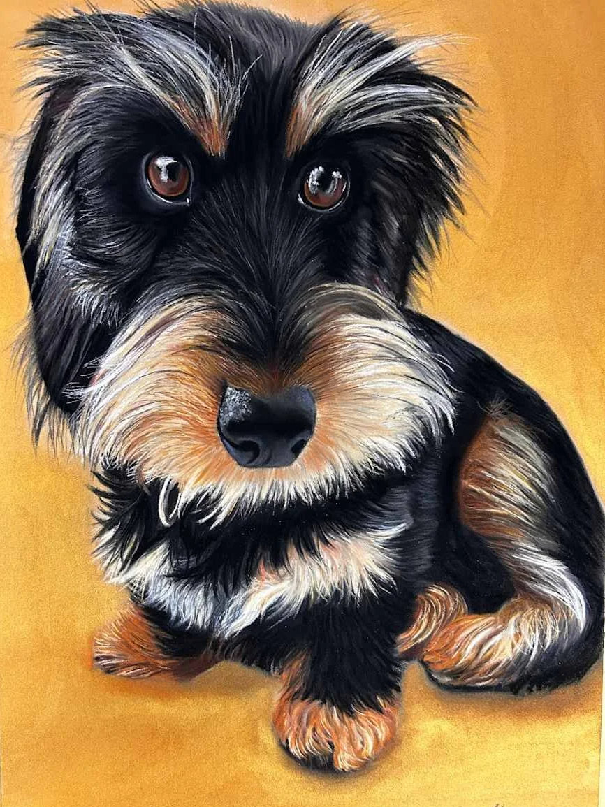 Original portrait commissioned piece of Fritzi, captureing the much loved character.