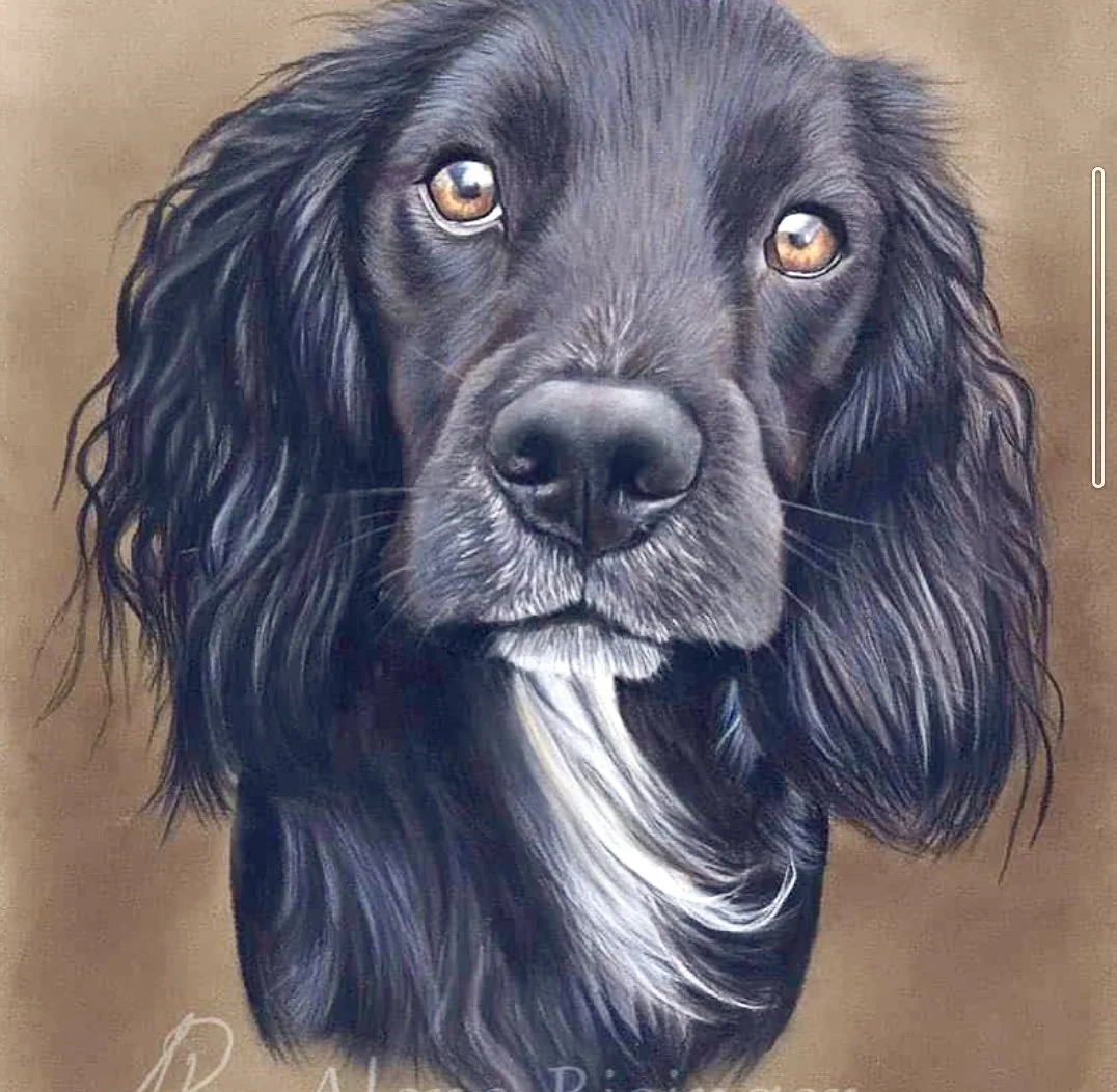 Bonnnie Portrait.jpeg