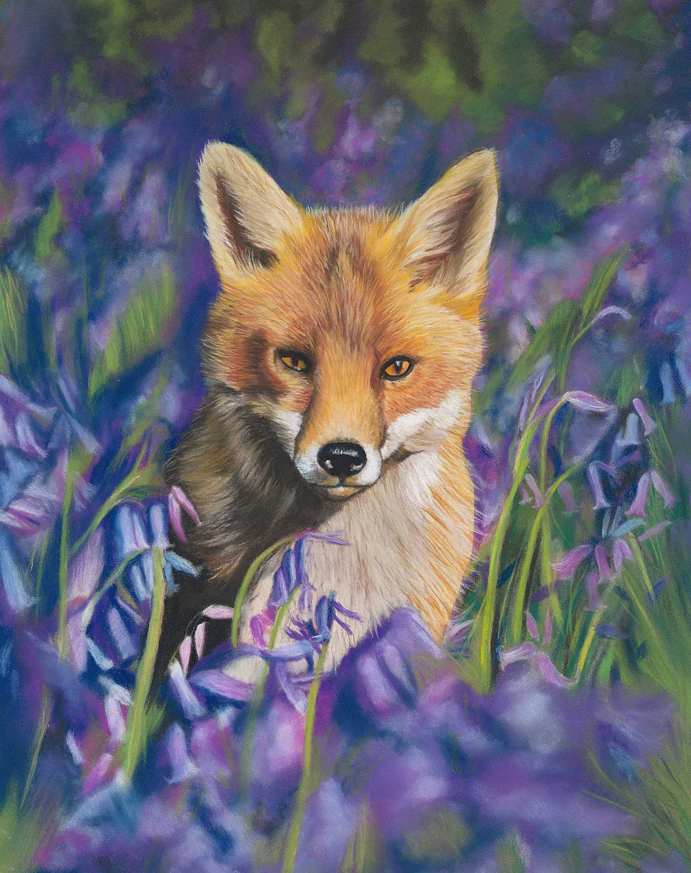 fox and bluebells 180 x 240 print.jpg