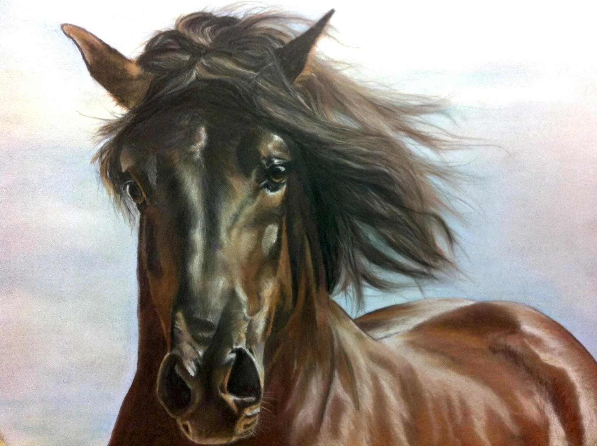 Painting of a horse with a flowing mane on a white wall.