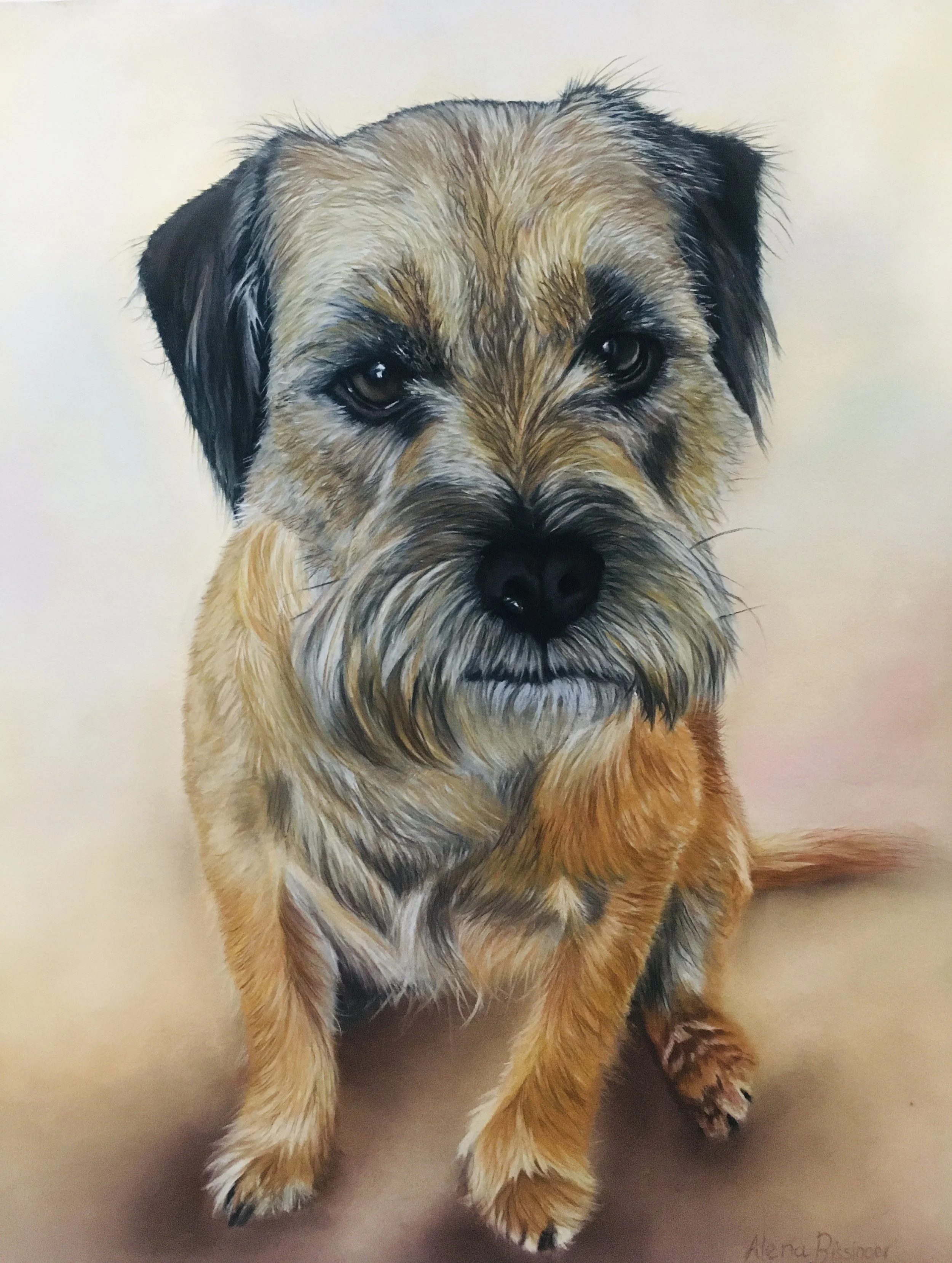 Realistic painting of a small, fluffy, brown and black mixed breed dog sitting on a neutral background.