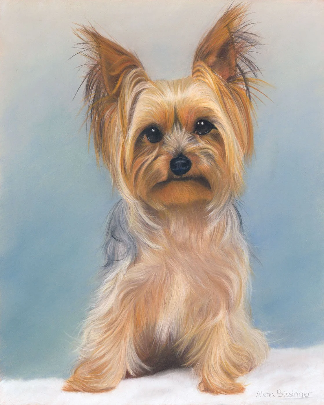 yorkie.jpg