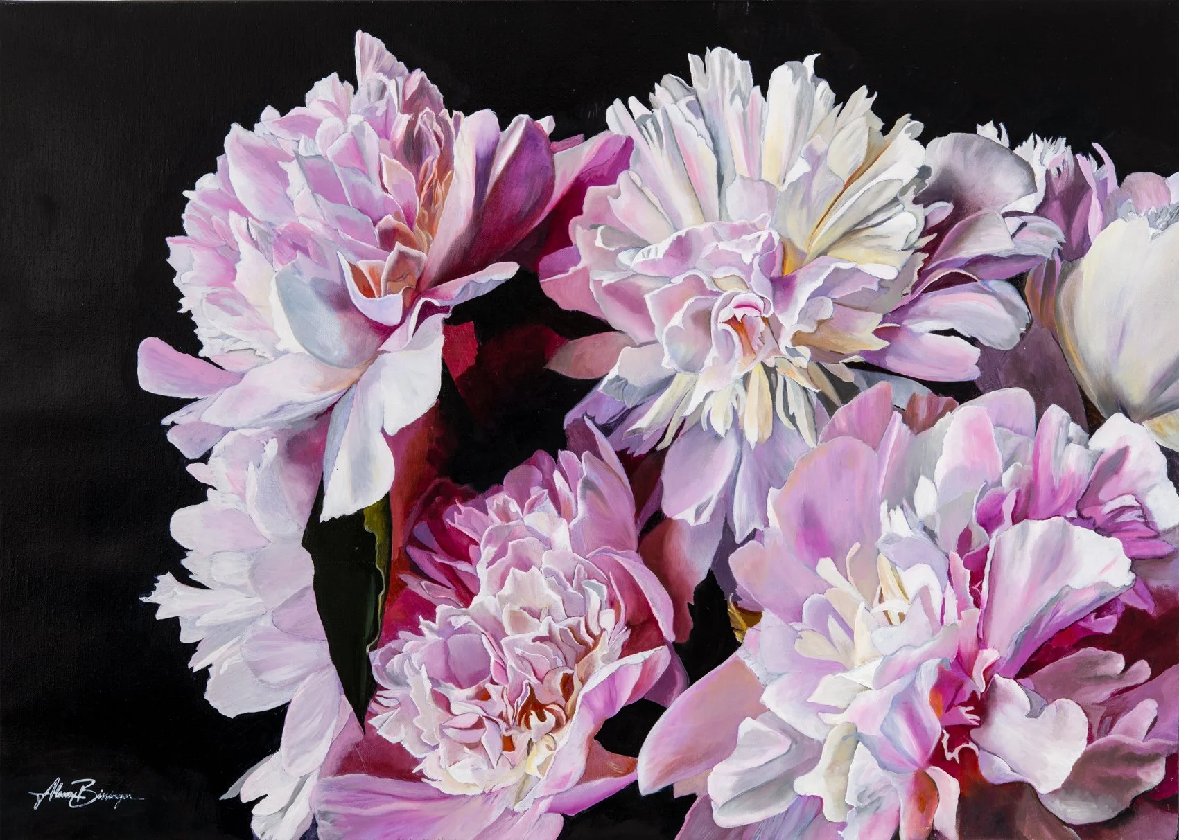 A painting of pink and white peonies against a black background.