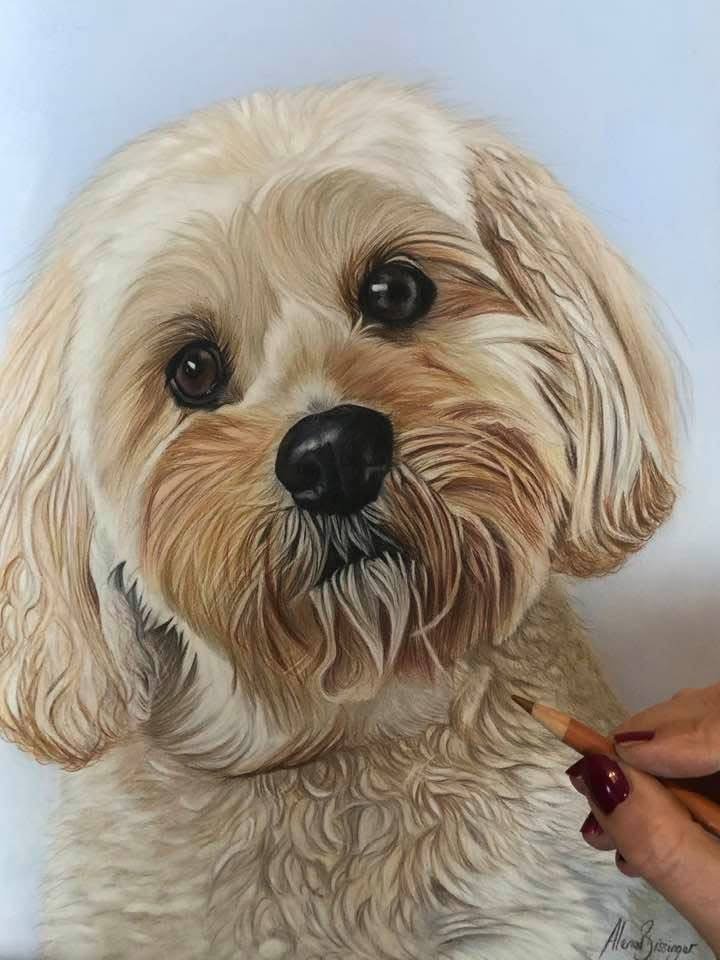 Close-up of a realistic painting of a small, fluffy dog with tan and white fur, black nose, and expressive eyes, held by a person using a colored pencil.