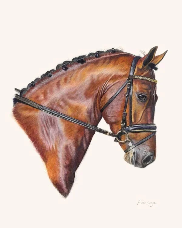 Drawing of a brown horse's head with a bridle and reins, facing to the right.