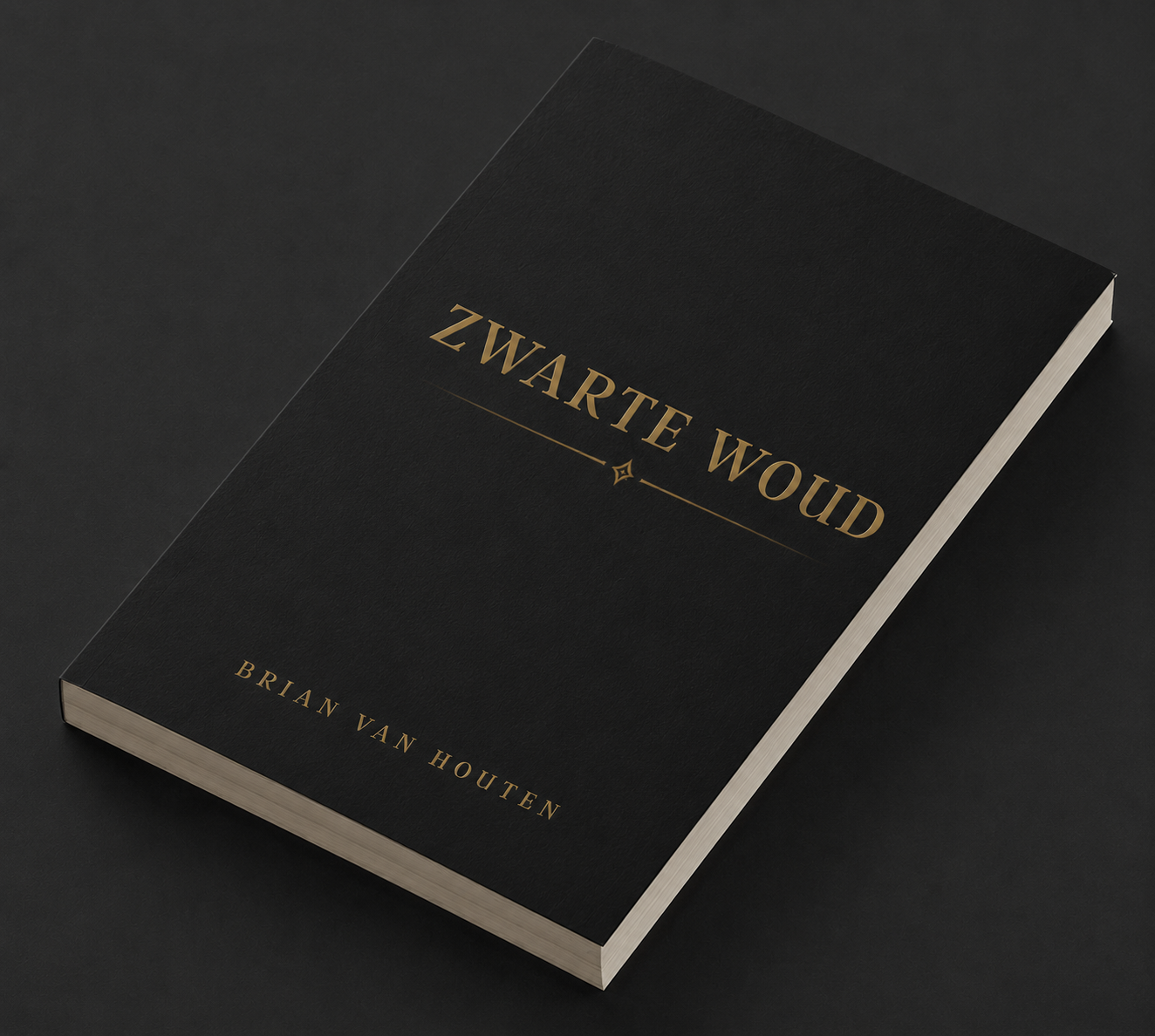 Een zwart boek met de titel 'Zwarte Woud' en de auteur 'Brian Van Houten' op een donkere achtergrond.