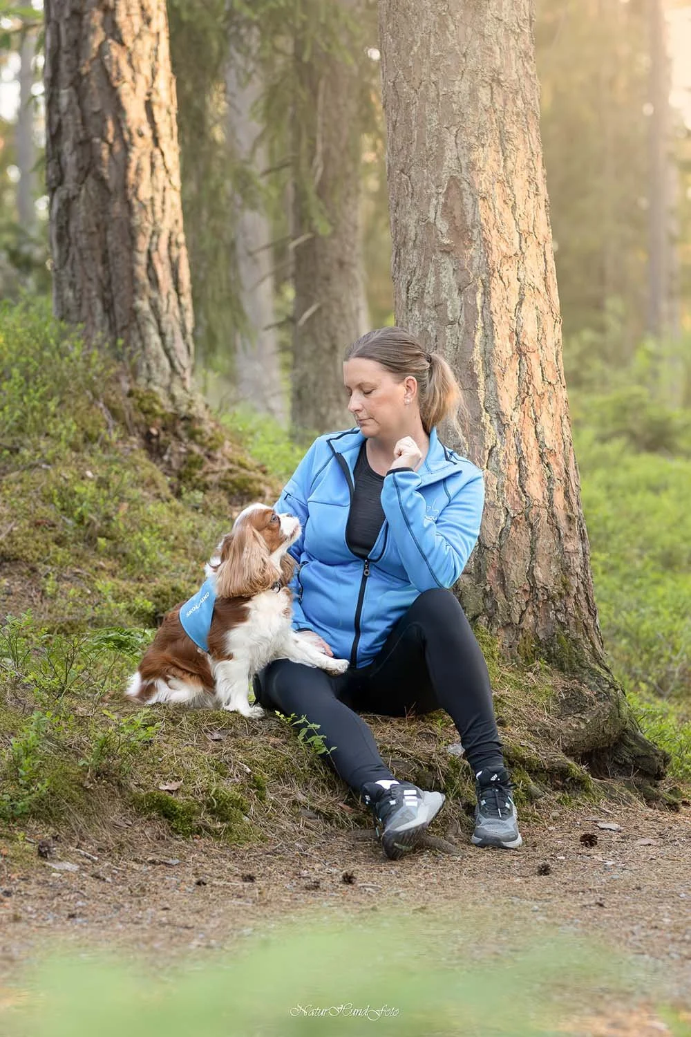 hundfotografbotkyrka djurfotografbotkyrka porträttfotografbotkyrka husdjursfotografbotkyrka