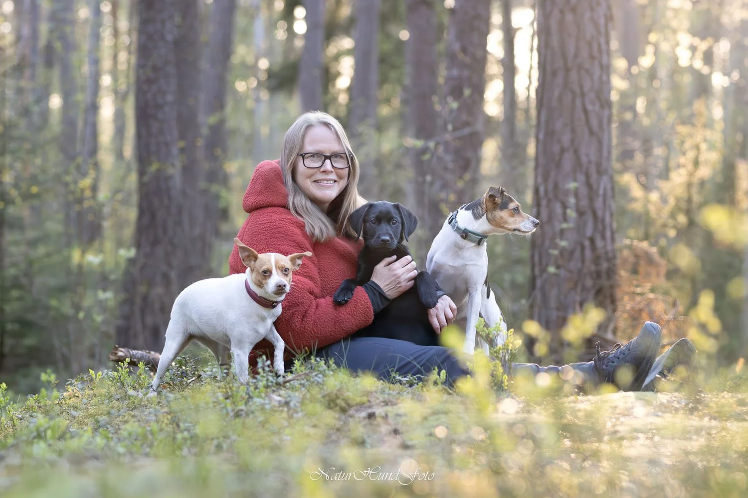 hundfotografuppsala djurfotografuppsala porträttfotografuppsala