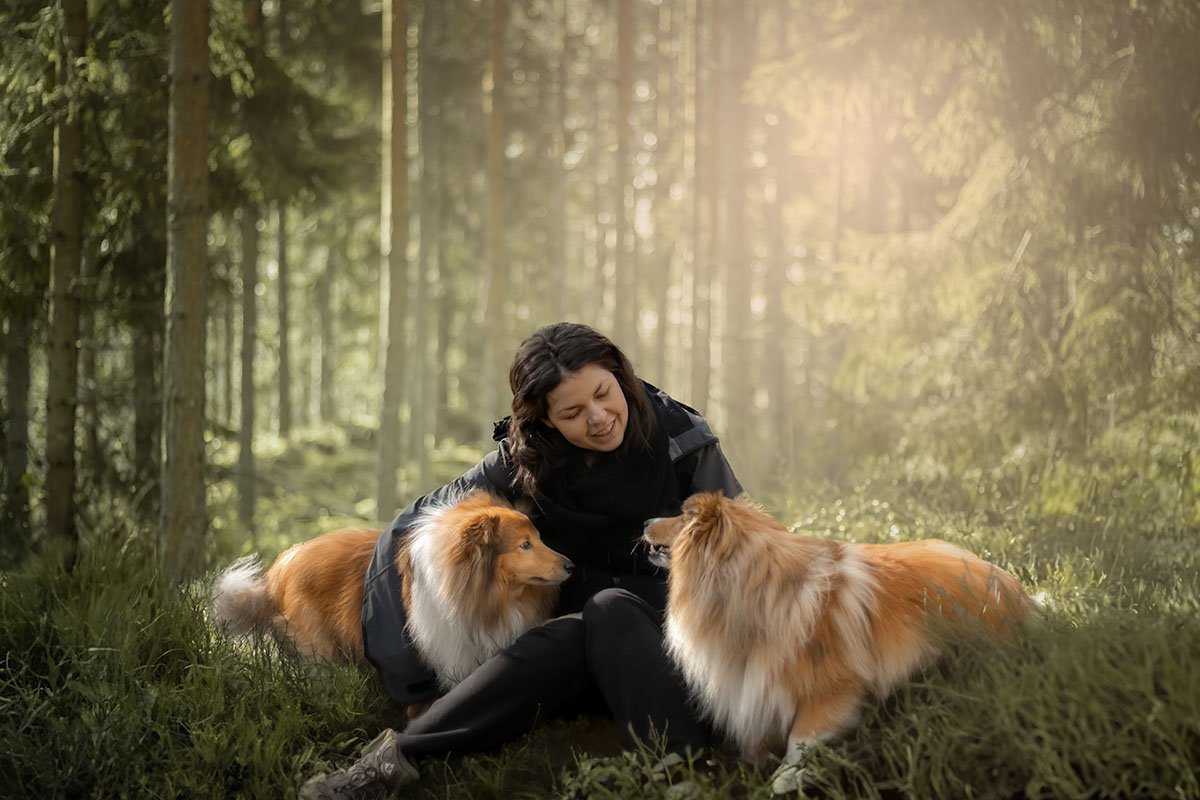 hundfotograf Stockholm hundporträtt