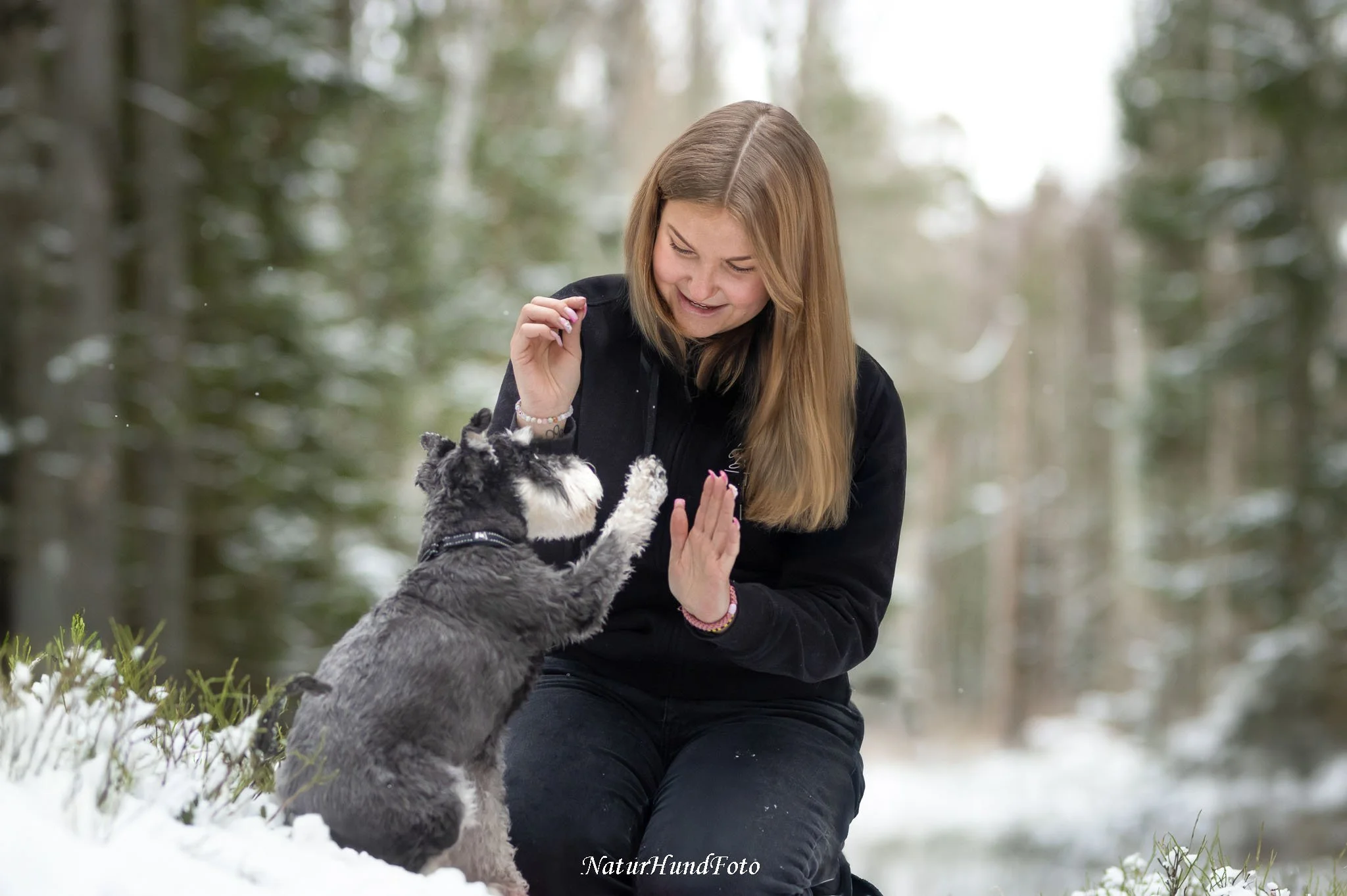 B&K Hund Shop hundtrim & SPA Solna