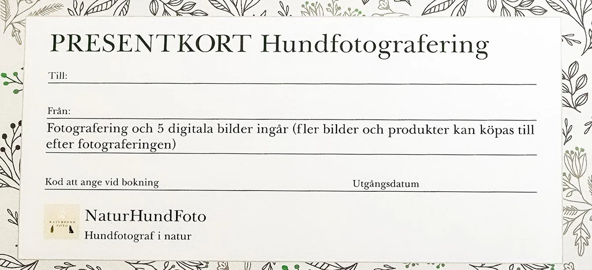 presentkort julklapp hund hundägare hundälskare husdjur Stockholm Uppsala present