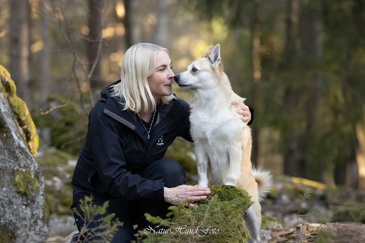 hundfotograf Stockholm Uppsala hundfotografering hundporträtt djurporträtt hundfotografstockholm