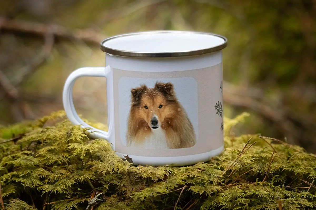 pris hundfotografering vad kostar en djurfotografering?