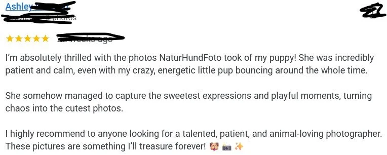 djurfotograf Stockholm Uppsala djurfotografering