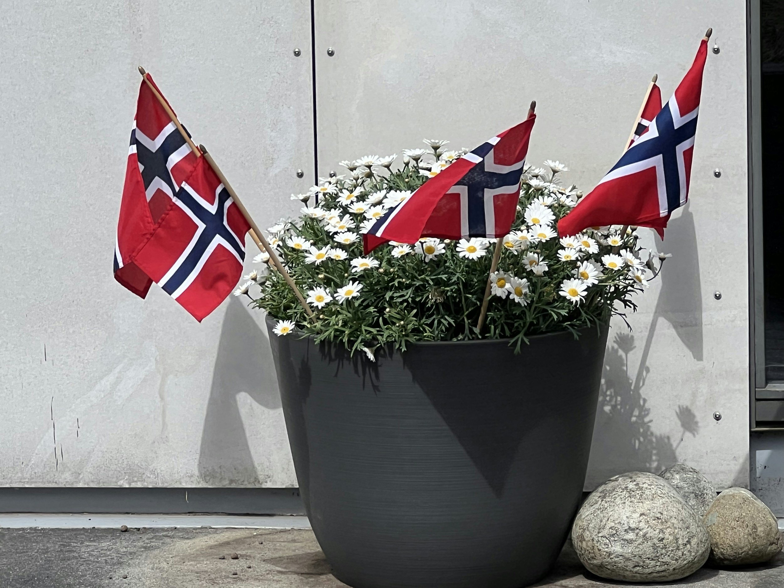 17.mai-middag på Offersøy Feriesenter