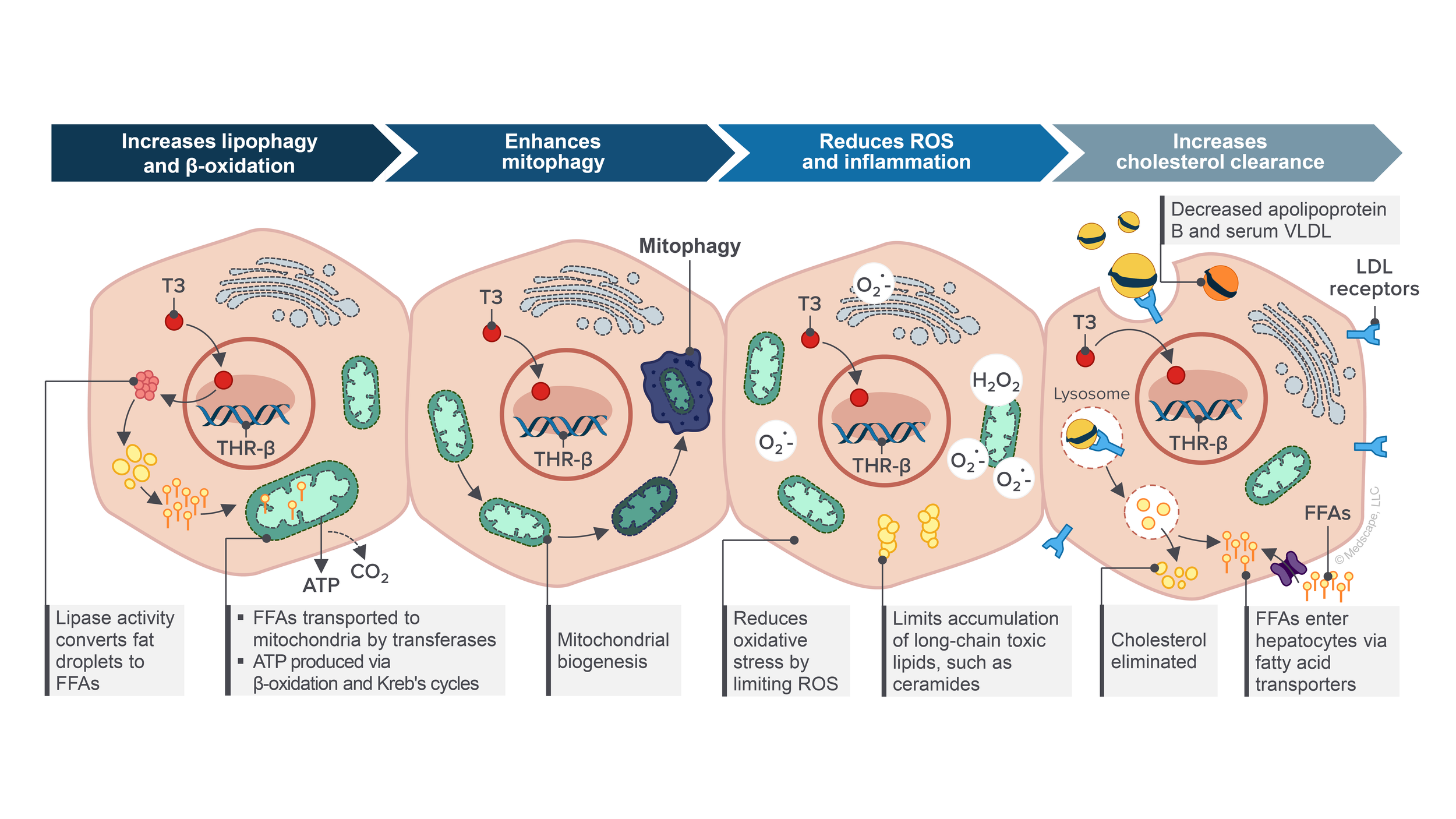 Medical Communication Slide Examples - FINAL5.png