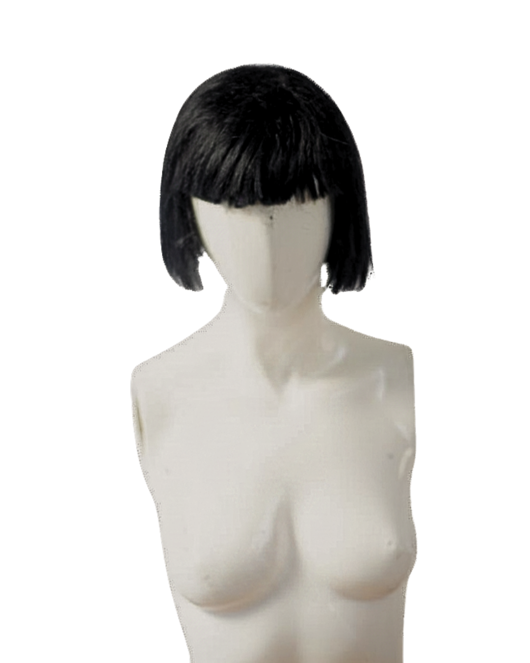 fig (10).png