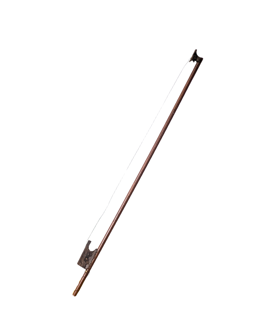 fig (6).png