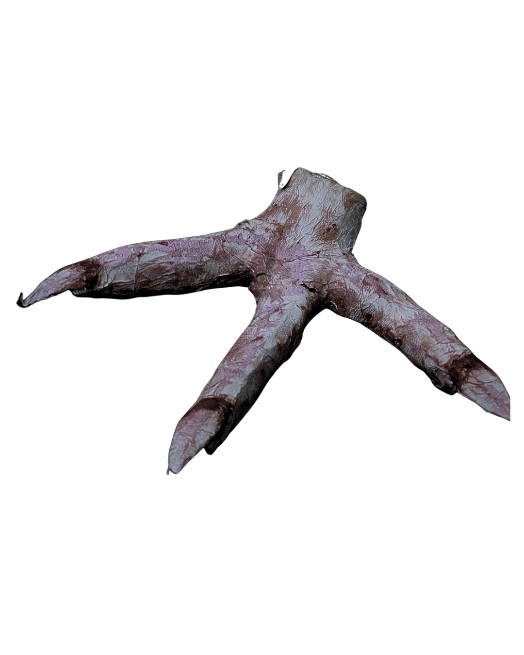 Design sem nome (4).png