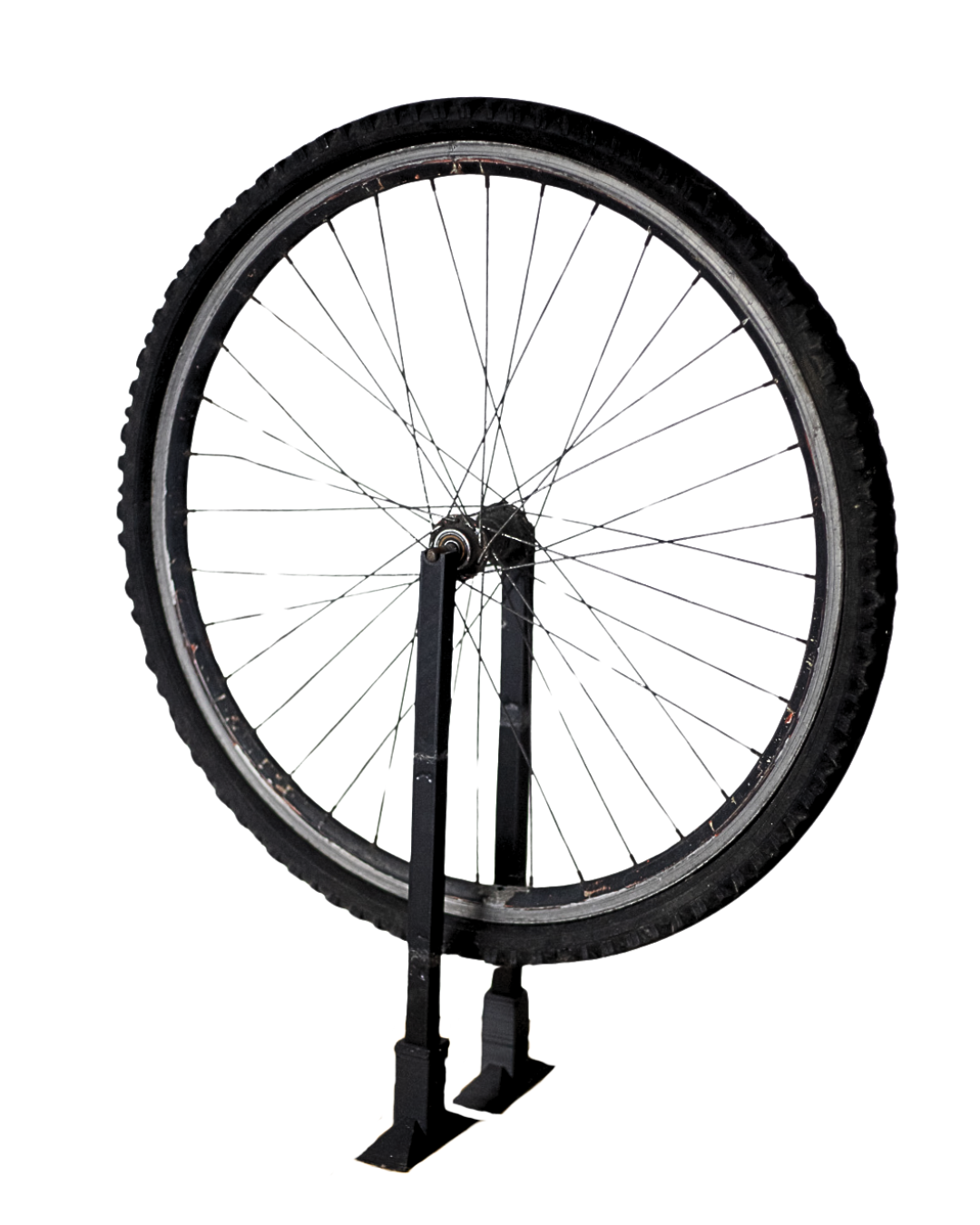 fig (1).png