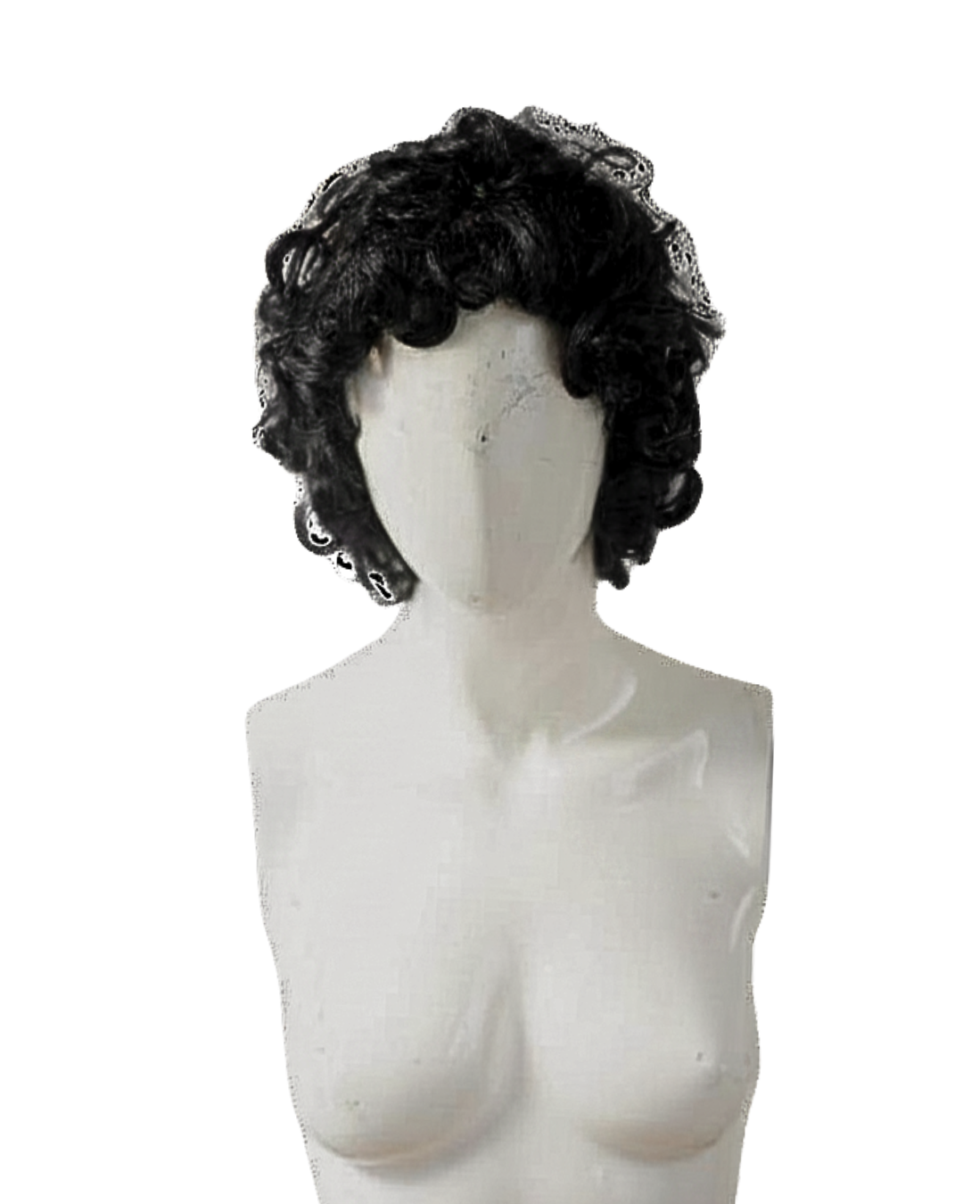 fig (13).png